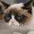 haggl's avatar